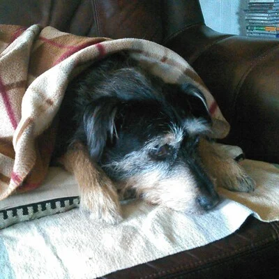 Meanwhile, on Earth One